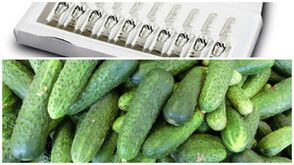 recepti za maske za pomlajevanje kože rok